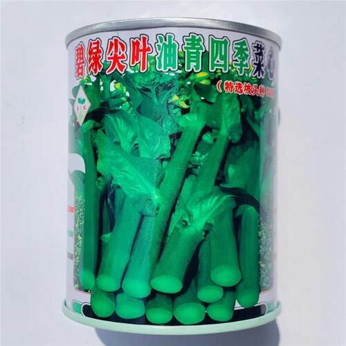 范记碧绿尖叶油青四季菜心368种子粗条抗热抗雨春夏秋季蔬菜种子