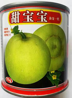 甜宝甜瓜种籽特大正品白种籽春季秋季四季种孑水果种子超甜香瓜籽