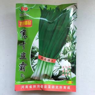南北绿久寒青韭霸韭菜种籽高产耐寒抗病不休眠河南宽叶雪韭韭菜种