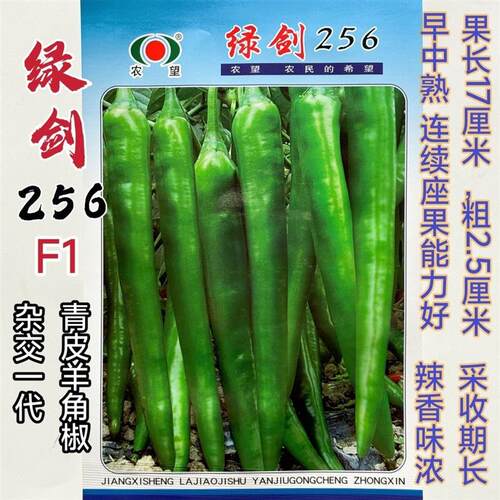 农望绿剑256种子羊角形辣椒种子皮薄辣味浓香青果绿色果面稍波皱