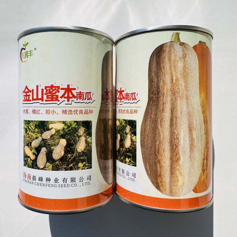 海南晨丰金山蜜本南瓜种子易坐果抗病强肉厚腔小正品罐装50克LT