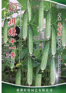 好特川绿十一号无苦味黄瓜种子 早熟 抗病 味香浓黄瓜种子LT