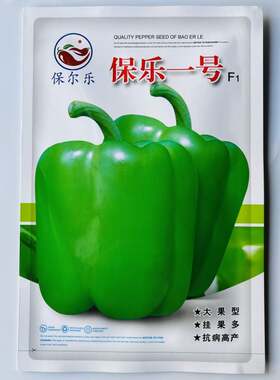 保乐一号大甜椒种子大椒青椒灯笼椒菜椒方椒种籽正宗原厂正品原装