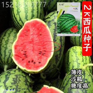 全美2k西瓜种子薄皮沙瓤椭圆形礼品小西瓜种籽吊瓜甜度高不裂瓜孑
