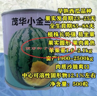 中科茂华小金兰黄瓤西瓜种子早熟薄皮沙甜高产抗病农家春秋播精选