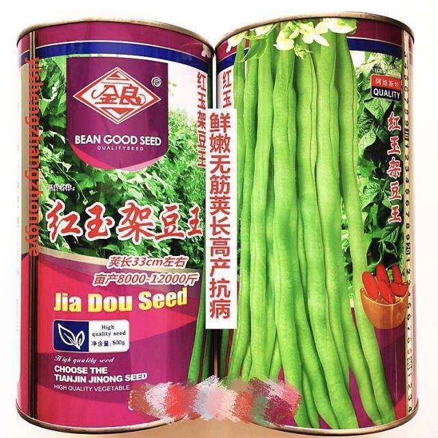 蓟农红玉架豆王种子鲜嫩无筋荚长高产抗病农家大田大棚春秋播精选