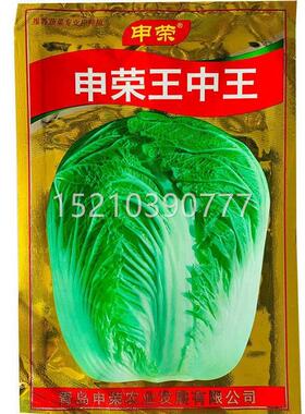 申荣王中王WIQ晚大白菜种产子中熟高耐寒菜籽大田秋季播种蔬菜冬