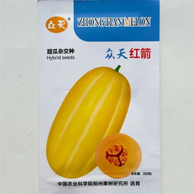 红箭早熟杂交薄厚皮甜瓜种子皮金黄肉橙色长椭圆脆甜香瓜种子