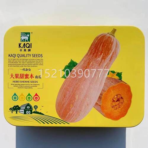 卡本早密本南瓜种早中熟大果密南瓜面甜粉其南方ZMP北方春季子播