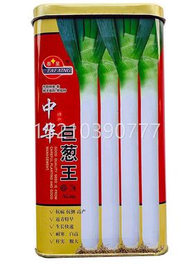 中华巨葱王伏大葱种子TJZ高产抗病抗倒抗抗庭院大田四种季热播大