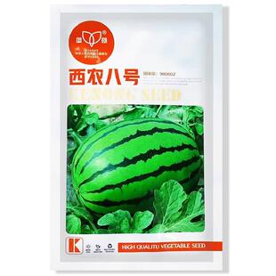 西农八生号中熟品种西瓜种子长健高产椭圆壮形绿地花皮耐IVV运输