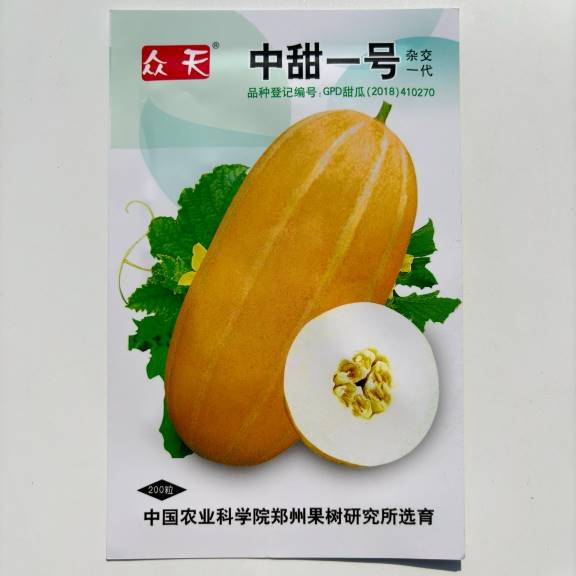 中甜一号黄金道黄皮香瓜种籽黄金蜜甜瓜种子超甜脆早熟高产耐低温