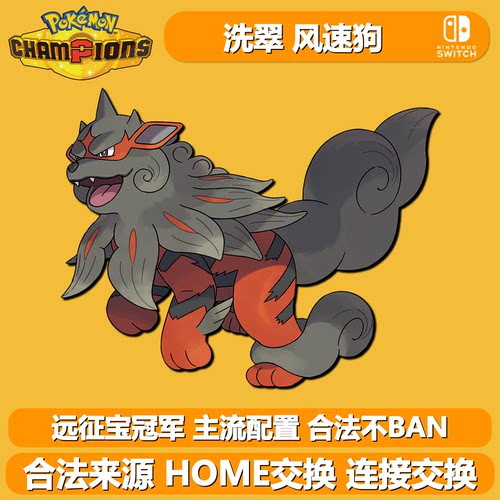 宝可梦冠军朱紫闪光6V洗翠风速狗