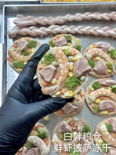 白胖鲜虾披萨猫狗花式宠物冻干零食彩椒酸奶挞挞水果