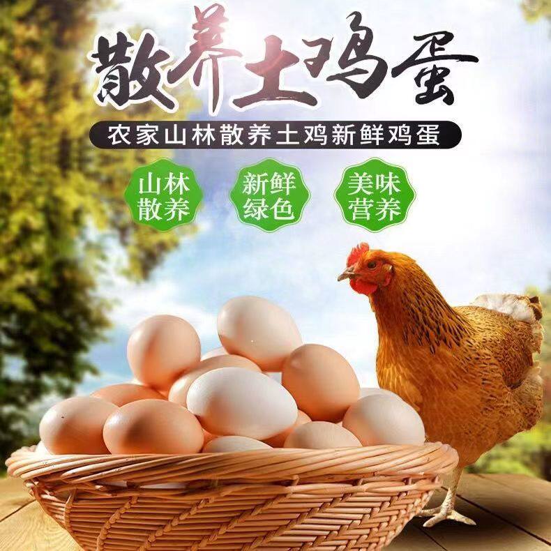 正宗云南土鸡蛋新鲜现捡本地鸡蛋黄心鸡蛋孕妇食用蛋农村野外散养