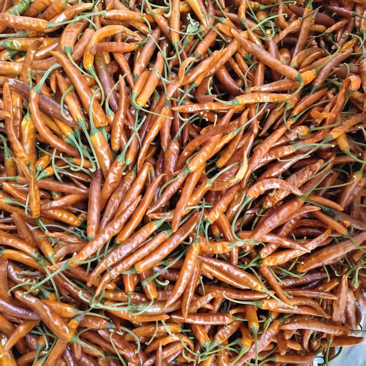 云南那刀辣干辣椒唠叨辣又香又辣