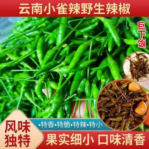 云南小雀辣椒新鲜现摘小米辣批发