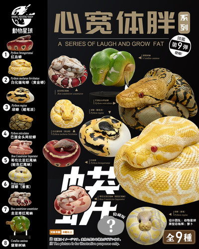 动物星球蛇爬宠萌宠