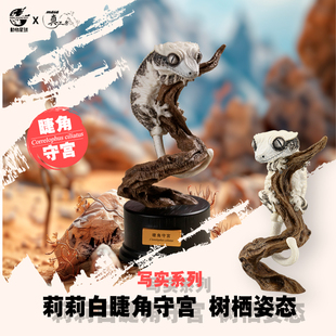 动物星球 x 真工房 写实系列 莉莉白守宫 树栖姿态 手办 模型