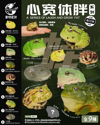 动物星球牛蛙，角蛙，模玩，摆件