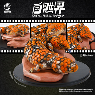 动物星云 写实版自然界系列第五弹 西部松果蜥 手办【尾款】