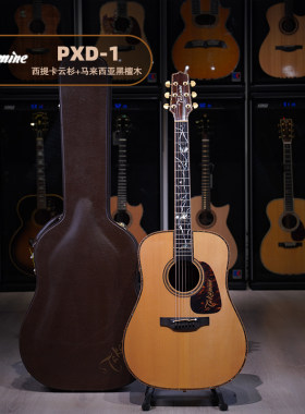TakaminePXD1电箱吉他