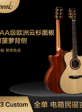 德国手工Lakewood雷克伍德M53CP Custom缺角电箱原声吉他