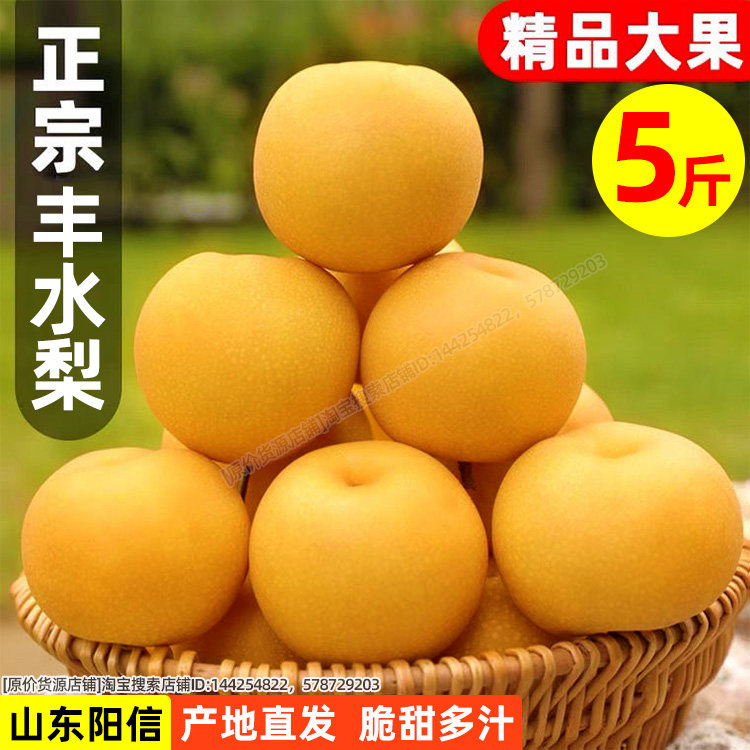 精选5斤新果丰水梨富硒梨香甜可口山东阳信新鲜多汁丰水梨