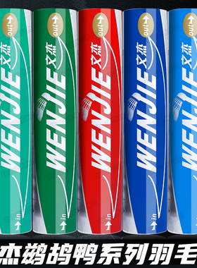 文杰羽毛球耐打1号105/106/107系列专业训练比赛球12只装飞行稳定