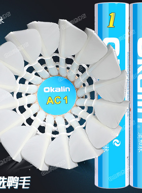正品澳加林AC1号羽毛球耐打王飞行稳定专业训练比赛耐用球12只装
