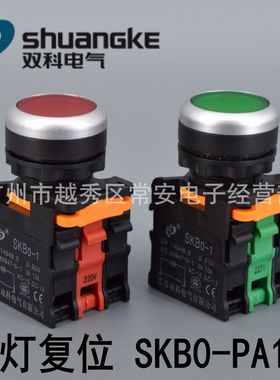 江苏双科 带灯复位按钮 SKB0-PA11D  开孔22mm 放手回位