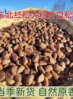 东北大松子2025新货红松林开口松子原味现炒柴火松子非油炸