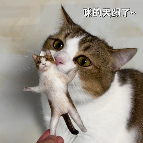 猫咪老鼠干定制挂件趣味搞怪乳鼠干送闺蜜带骨架宠物钥匙扣小礼物