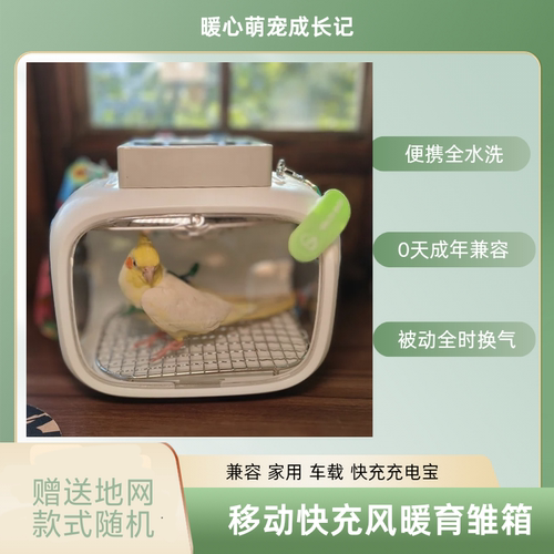 暖心萌宠成长记智能恒温零天鹦鹉PID风暖保温育雏箱车载电池便携