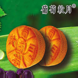 益康月饼益利思葡萄软月100g*5个济南特产老字号传统糕点纯手工