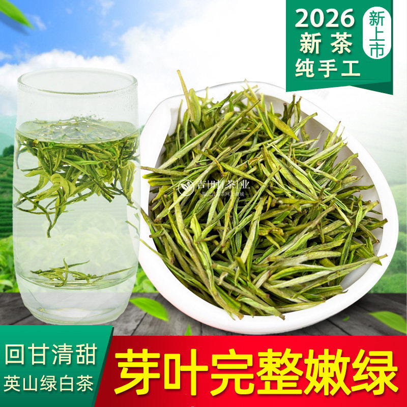 英山云雾明前茶2026年新茶绿白茶炒青茶清香送礼白茶湖北特产茶叶