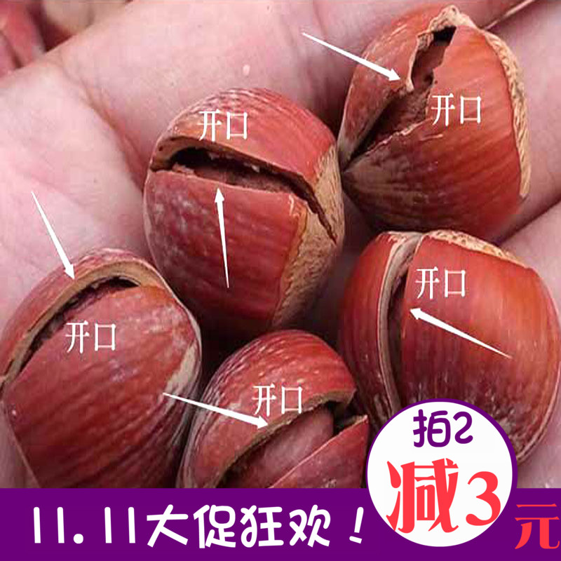 ¶«±±ÌزúÒ°Éú¿ª¿Ú´óé»×Ó500g*2´üÌØ¼ÛÌúÁëлõÔζÔи¾³ÔµÄ¼á¹û
