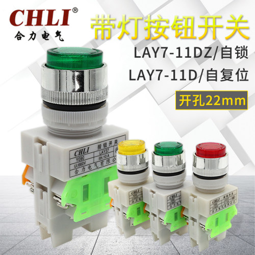 LAY7带灯按复位绿色24V自锁开关