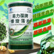 正品 药房易力葆螺旋藻片2000食用绿藻免疫力蛋白质胡萝卜华欣奥康