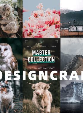 大师级Lightroom预设woodland合辑自然摄影风景动物手机LR滤镜PS