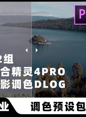 专为DJI大疆精灵4Phantom Pro调色滤镜LUTS电影色彩D-Log配置预设