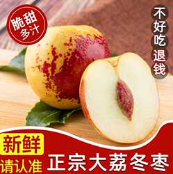 冬枣新鲜大枣现货陕西大荔冰糖枣子鲜枣时令水果当季现摘精品红枣