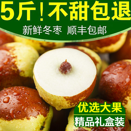 冬枣新鲜水果应季现摘陕西大荔冰糖枣子大个精品鲜枣脆甜红枣5斤