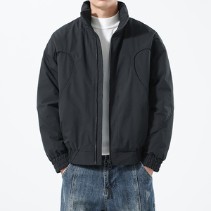 店主风模特冬季男士立领羽绒服外套2756-P240图片