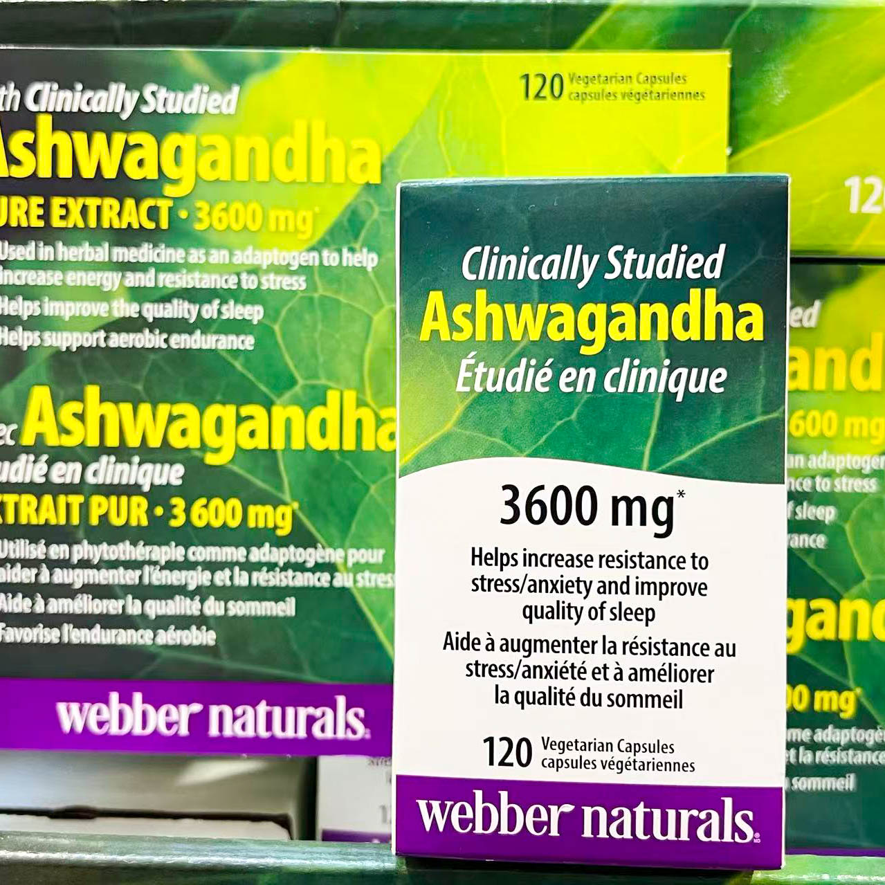 加拿大原装Webber伟博Ashwagandha印度人参南非醉茄精华胶囊120粒