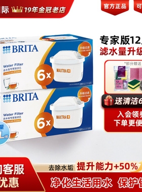 德国BRITA碧然德滤芯家用净水器自来水净水壶过滤器专家版滤芯6枚