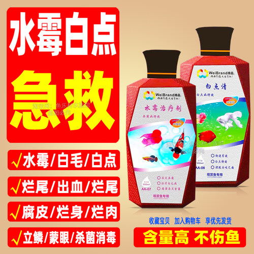 水霉病专治鱼药锦鲤金鱼七彩神仙白点白毛烂尾烂身小瓜虫烂鳃白斑