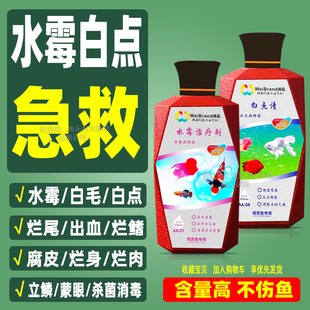 白点净鱼药小瓜虫水霉病专治用艾沙日野海宝白点清净化水质稳定剂