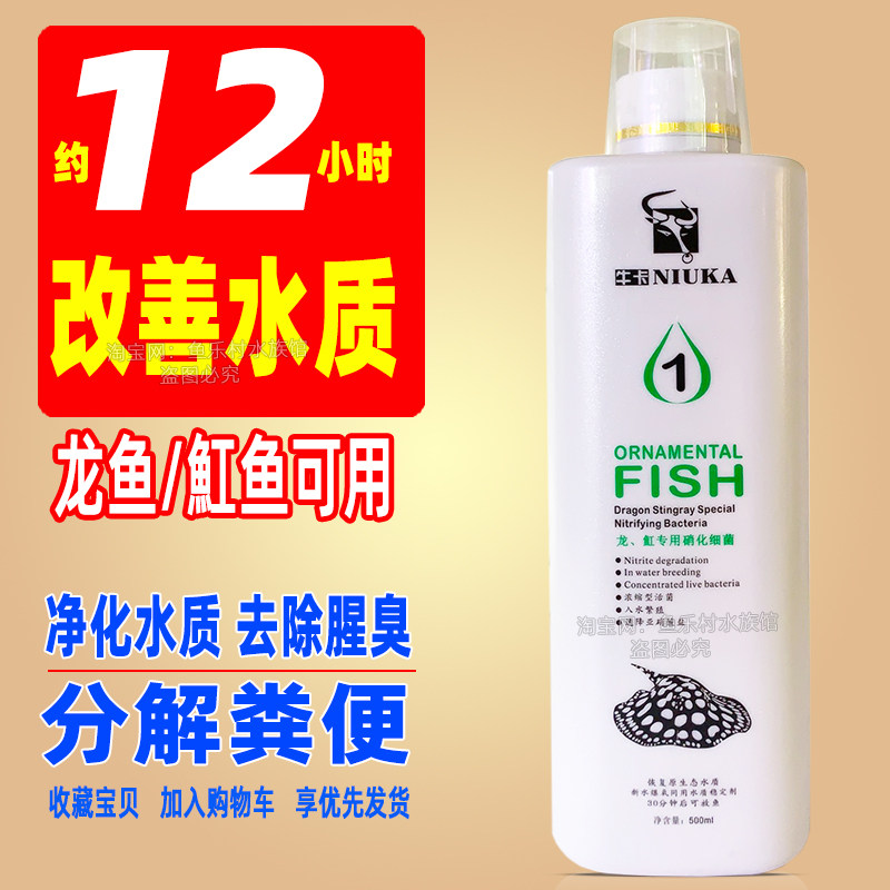 硝化细菌科迪活菌一号消化细菌奥芬兰鱼池用自来水除氯剂水质稳定