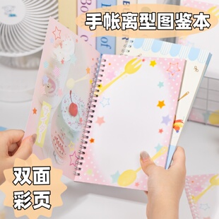 原创彩页图鉴本A5双面手帐胶带贴纸收纳册离型本手账素材展示本